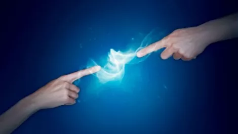 NZ councils more connected now than ever before