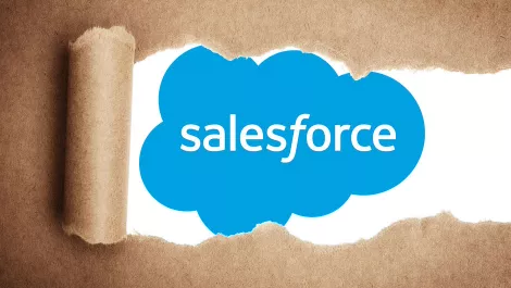 The secret sauce that makes Salesforce magic