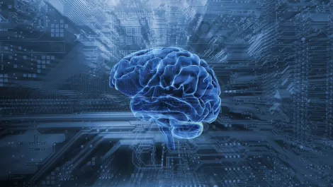 Retail-tech firm Insite AI signs deal with Chemist Warehouse